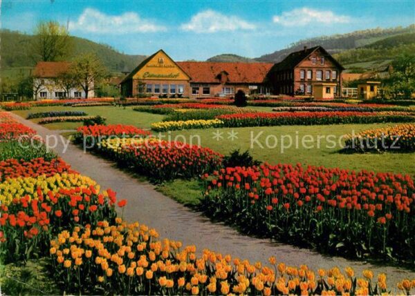 Deckbergen Essmannshof Tulpenpark