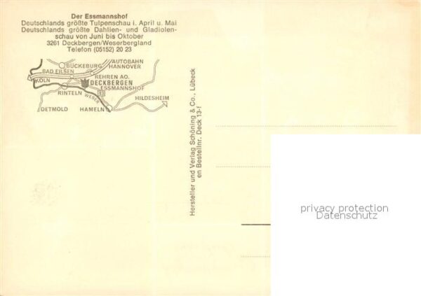 Deckbergen Essmannshof  Flamingo Papagei – Bild 2