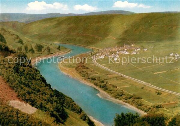 Burg Mosel Moseltal Weinberge Fliegeraufnahme
