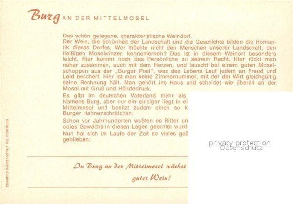 Burg Mosel Moseltal Weinberge Fliegeraufnahme – Bild 2
