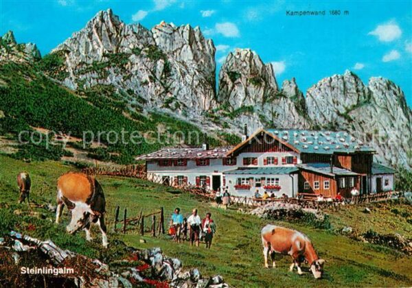 Steinlingalm Almvieh Kühe Kampenwand Bayerische Alpe