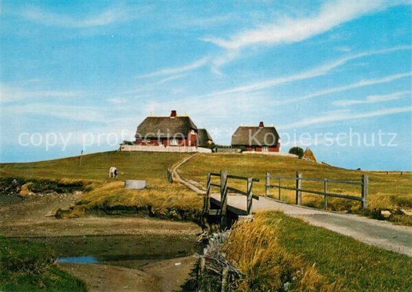 Hallig Hooge Westerwarft