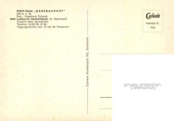 Hammelbach Pony-Hotel Gassbachhof – Bild 2