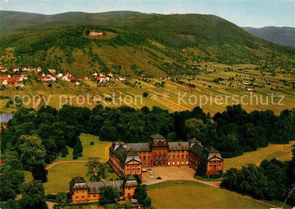 Kleinheubach Schloss Löwenstein Fliegeraufnahme