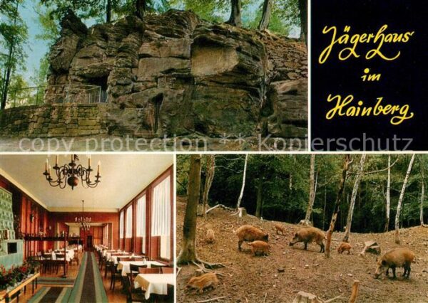 Sehlde Salzgitter Jägerhaus im Hainberg Wildschweine