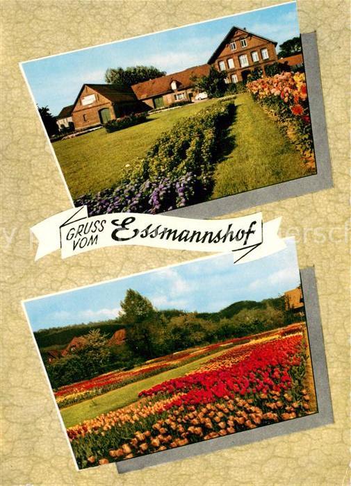 Deckbergen Essmannshof Tulpenblüte