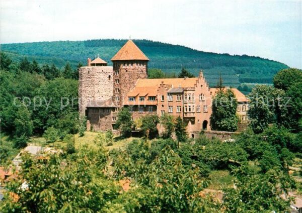 Rieneck Burg