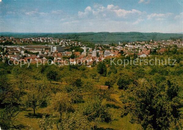 Wernau Neckar Panorama