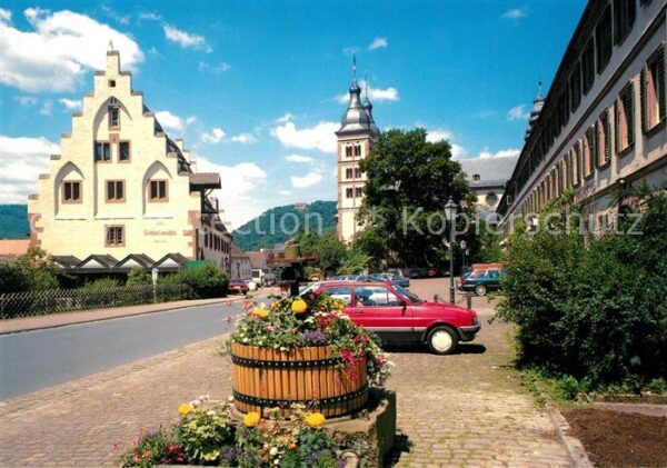 Amorbach Miltenberg Schlossmühle Abteikirche