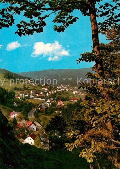 Warmensteinach Blick vom Höllfelsen