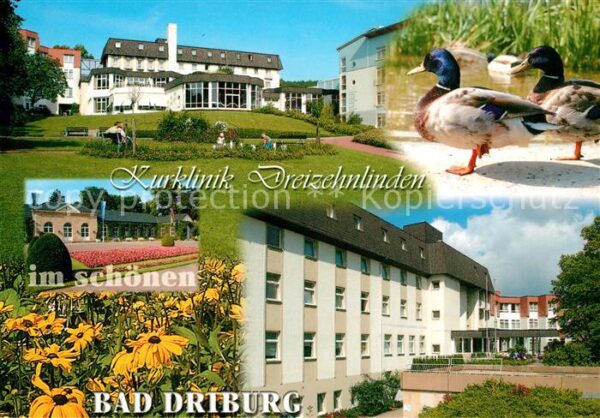 Bad Driburg Kurklinik Dreizehnlinden