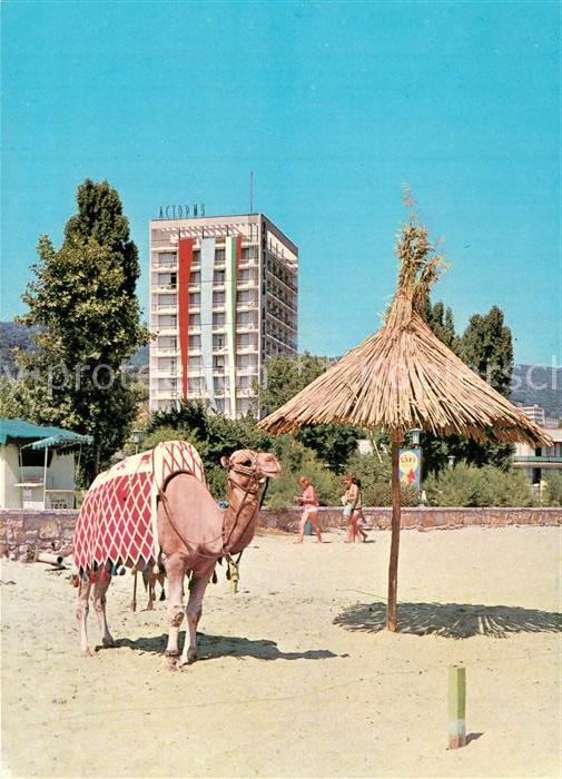 Varna Warna Hotel Astoria