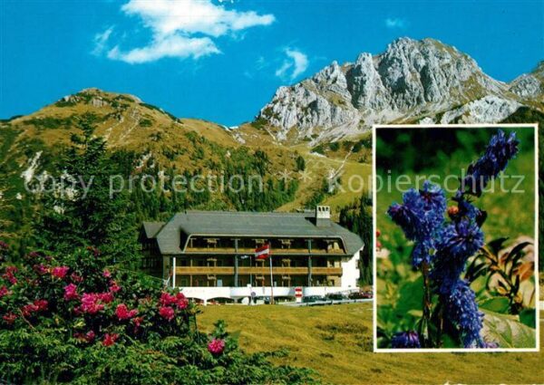 Hermagor Kaernten Hotel Krieber Wulfenia Carinthiaca