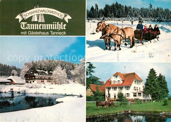 Grafenhausen Schwarzwald Schwarzwaldgasthof Tannenmühle