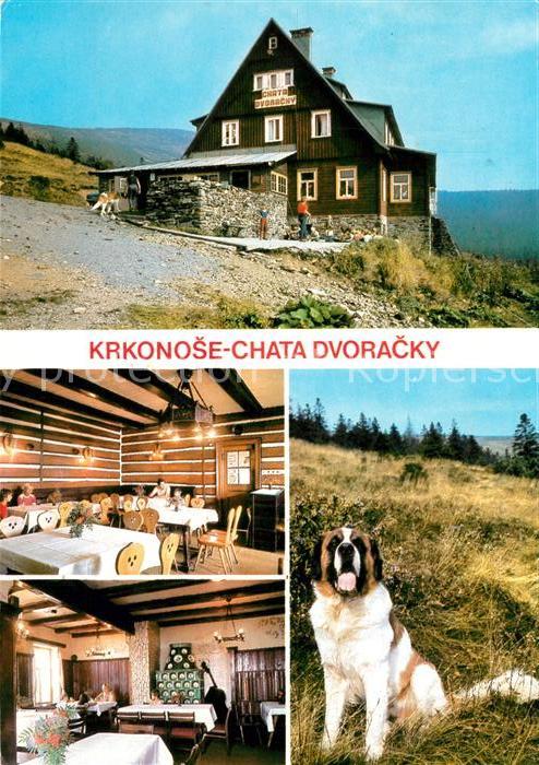 Rokytnice nad Jizerou Chata Dvoracky