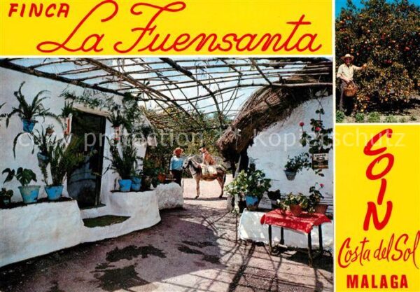 Malaga Andalucia Finca La Fuensanta