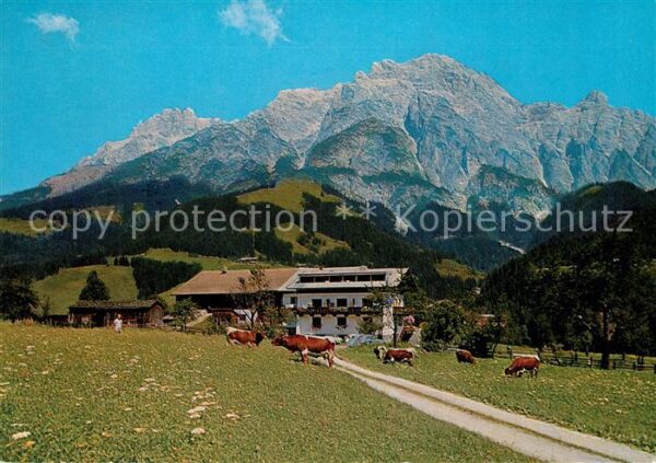Leogang Pension Krallerhof mit Leoganger Steinb