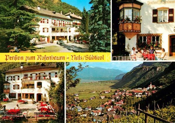 Nals Bozen Pension zum Rosenbaum Terrasse Panorama