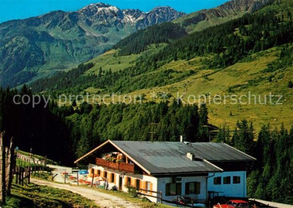 Wildschoenau Tirol Alpengasthaus Schönanger Alm