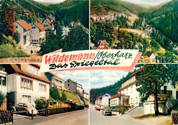Wildemann Spiegeltal