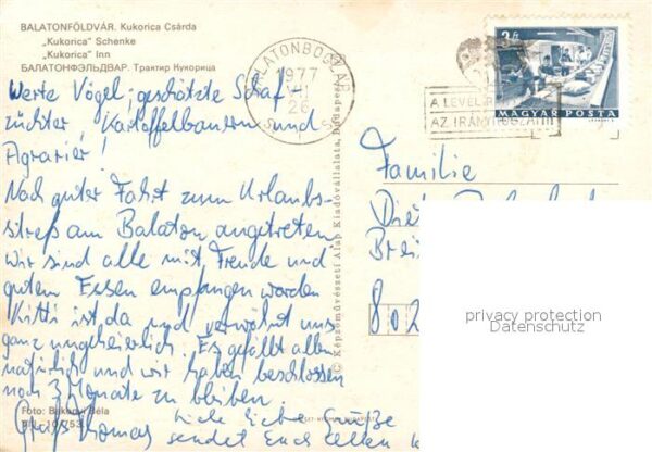Balatonfoeldvar Kukorica Csarda – Bild 2
