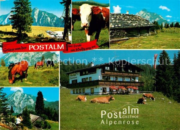 Strobl Postalm Gasthof Alpenrose