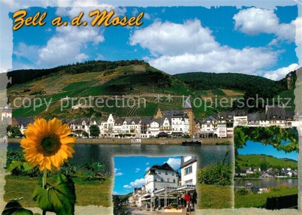 Zell Mosel Sonnenblume Blick über die Mosel zur St