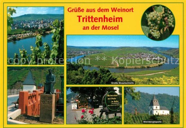 Trittenheim Mosel Panorama Moseltal Grosse Moselschleife