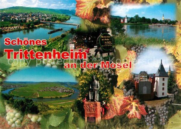 Trittenheim Mosel Panorama Blick von den Weinbergen Mosel