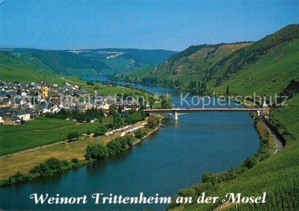 Trittenheim Mosel Panorama Blick von den Weinbergen auf d