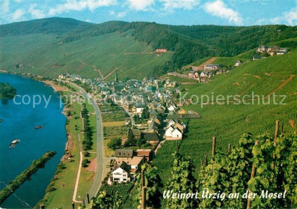 Uerzig Panorama Blick von den Weinbergen auf d