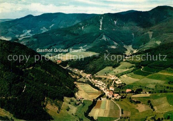 Simonswald Gasthof Grüner Baum im Schwarzwald Flie