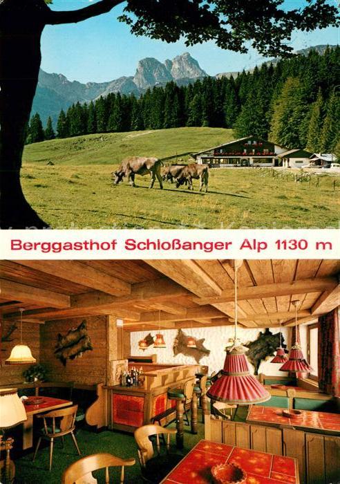 Obermeilingen Pfronten Berggasthof Schlossanger Alp Almvieh La