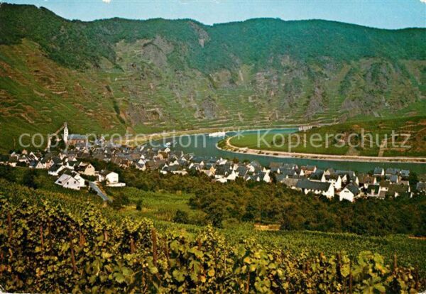 Bremm Mosel Panorama Moseltal mit Klosterruine Stub