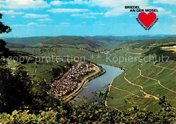 Briedel Panorama Moseltal Weinberge Briedeler H