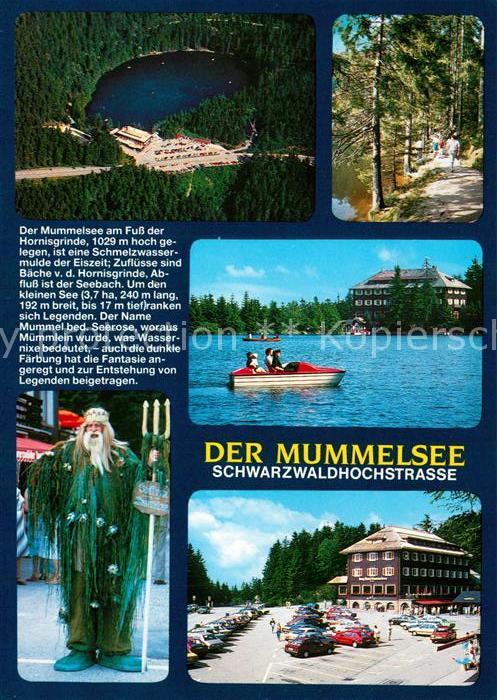 Mummelsee Berghotel Schwarzwaldhochstrasse Neptun