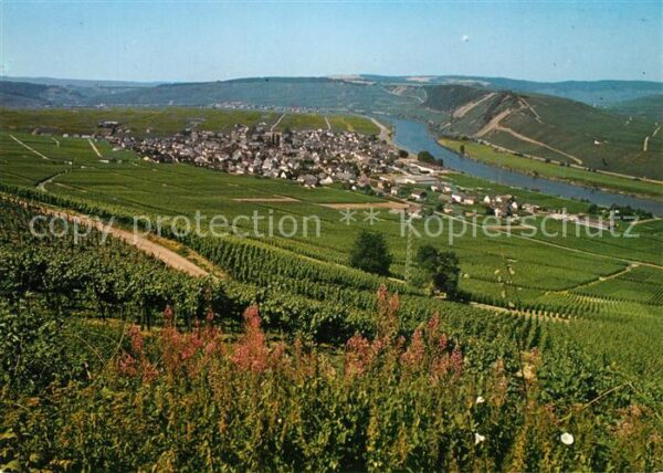 Leiwen Mosel Panorama Moseltal Weinberge Ferienzentr