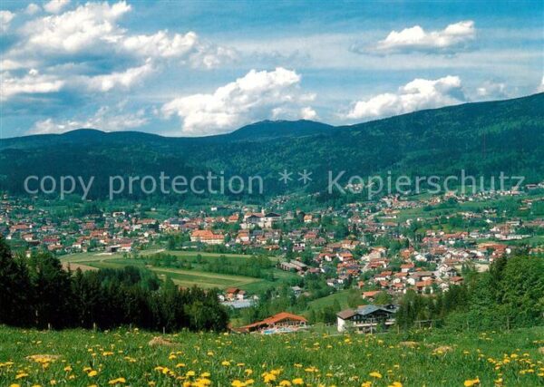 Bodenmais Panorama Luftkurort am Fusse des Arbers