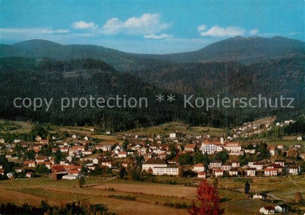 Bodenmais Panorama Luftkurort am Fusse des Arbers