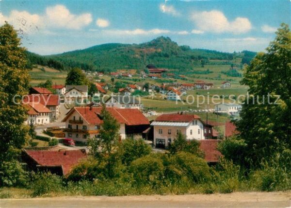 Bodenmais Panorama Luftkurort am Fusse des Arbers