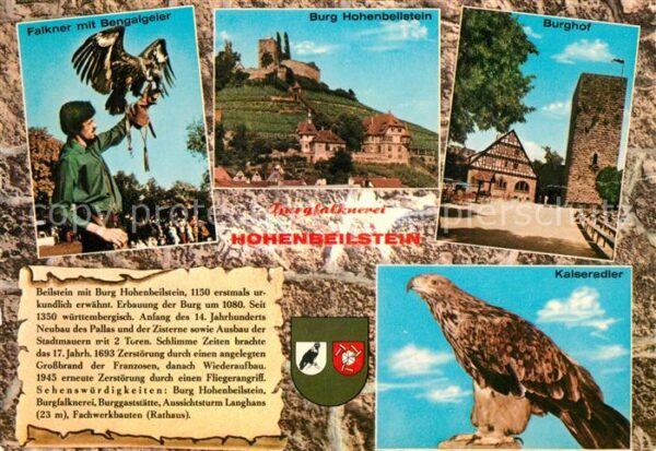 Beilstein Wuerttemberg Burgfalknerei Hohenbeilstein Kalseradle