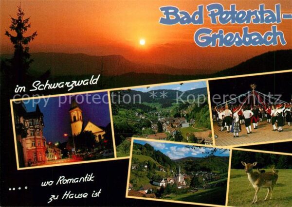 Bad Peterstal-Griesbach Innenstadt Nachtaufnahme Landschaftspan