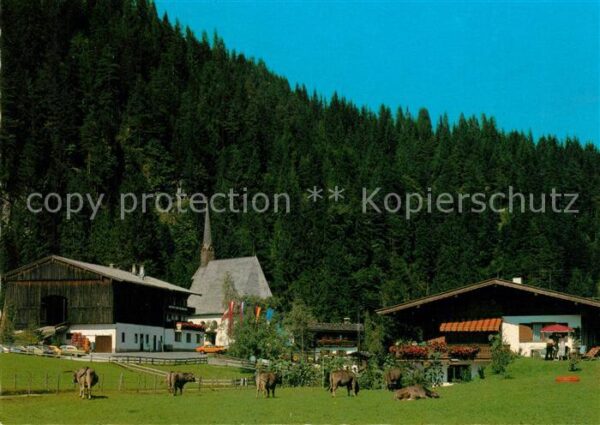 St Adolari Ortsmotiv mit Kirche Viehweide Kühe Wal