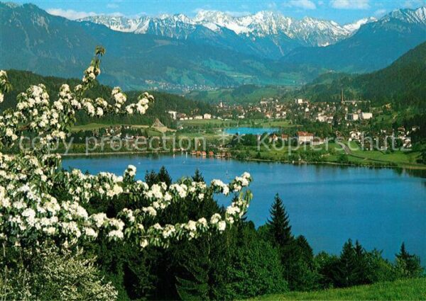 Buehl Alpsee Panorama