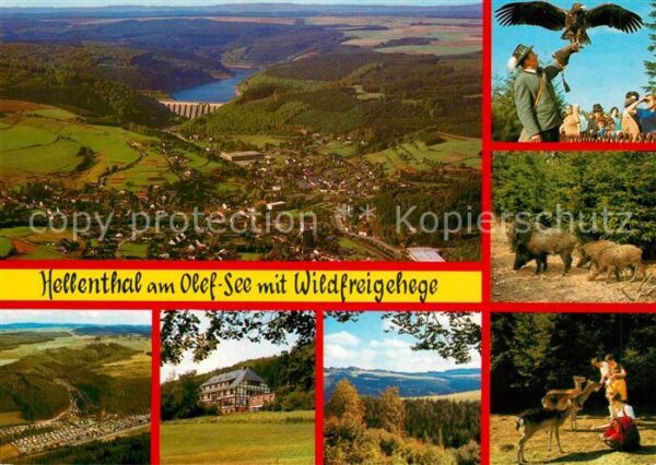Hellenthal Eifel Fliegeraufnahme Olef See Wildfreigehege