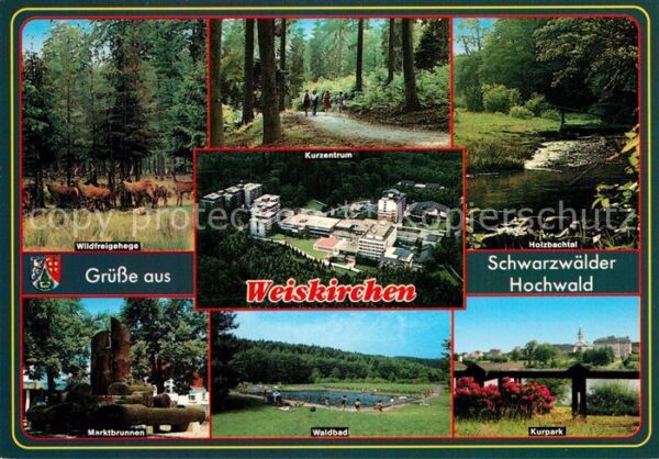 Weiskirchen Saar Wildfreigehege Waldpartie Holzbachtal M