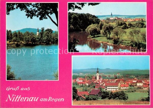 Nittenau Blick über den Regen Landschaftspanoram