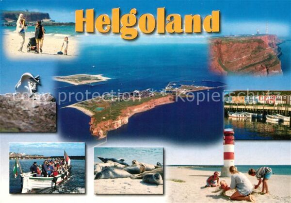 Helgoland Strand Ausbootung Seevögel Seehunde Leu