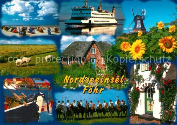Insel Foehr Strand Fähre Windmühle Sonnenblume Reet