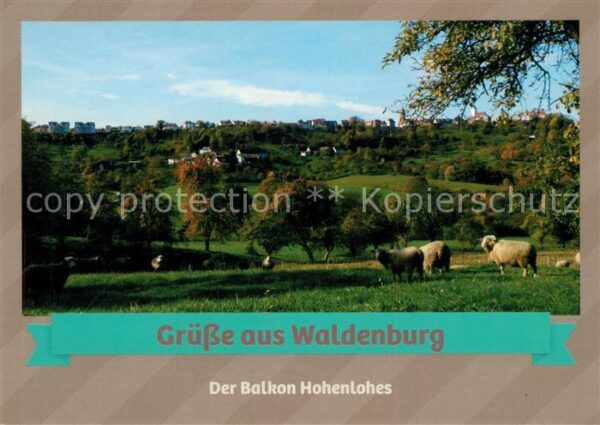 Waldenburg Wuerttemberg Der Balkon Hohenlohes Schafherde Landsc
